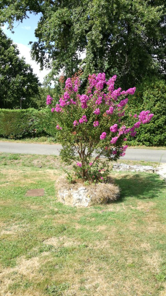 Village le Chat 208