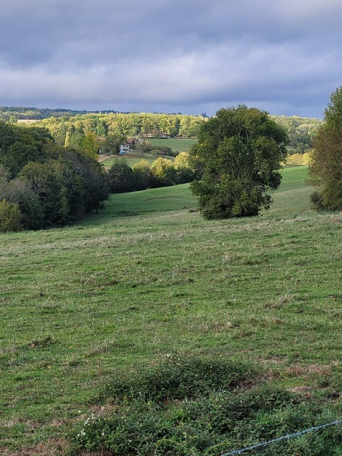Village le Chat 35