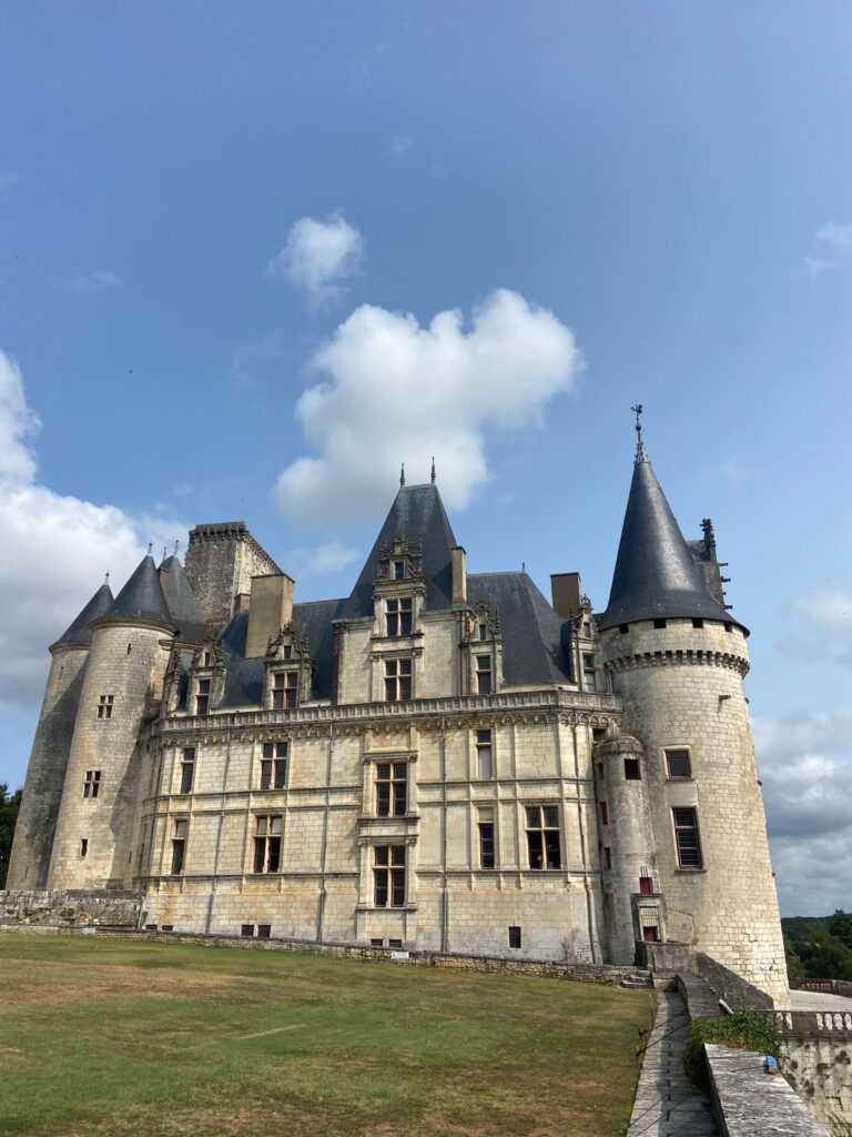 Village le Chat Le Camelot 217